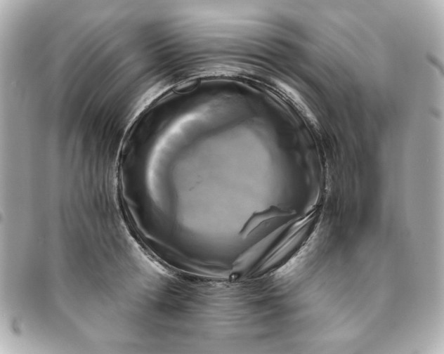 X0000096200802200802011258