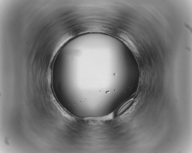 X0000096200804200802011258