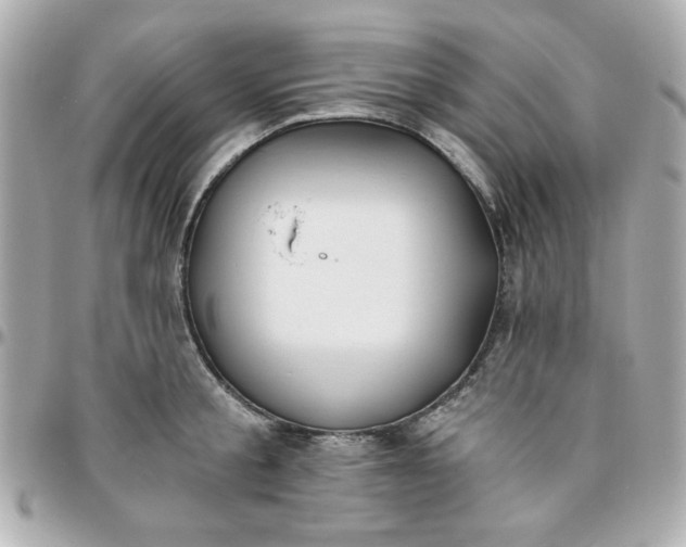 X0000096200805200802011258