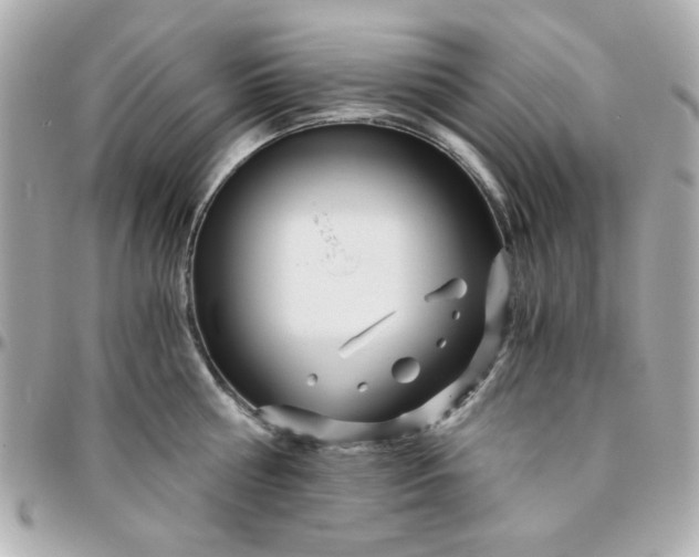 X0000096200810200802011258