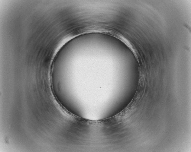 X0000096200811200802011258