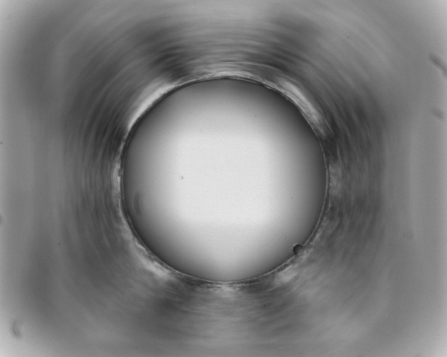 X0000096200814200802011258