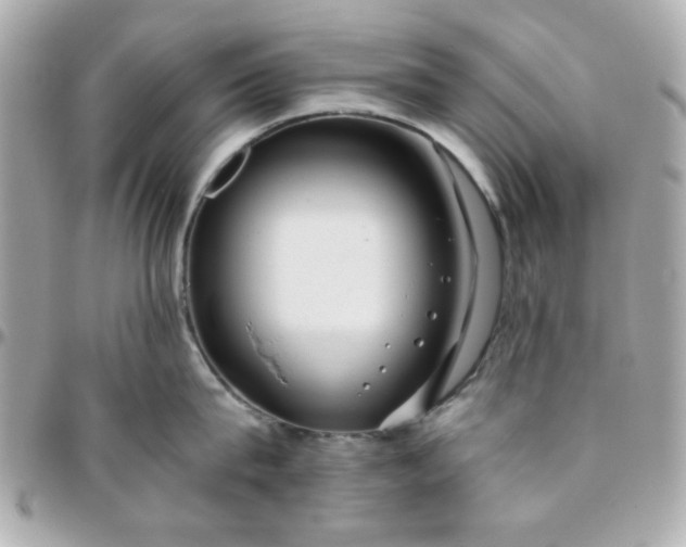 X0000096200815200802011258