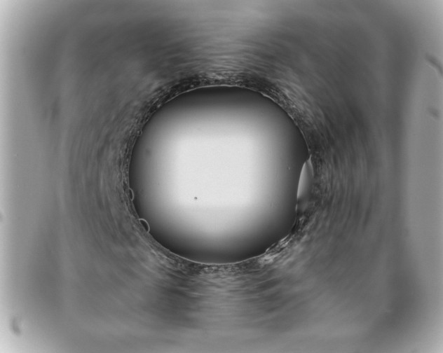 X0000096200817200802011257