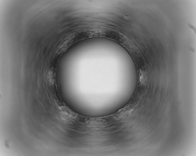 X0000096200819200802011257