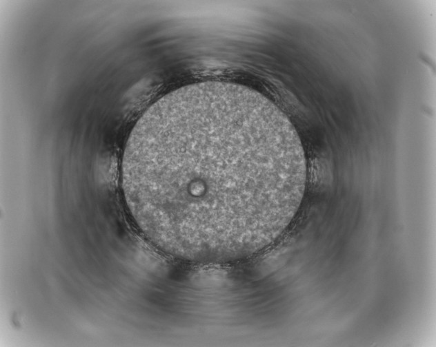 X0000096200820200802011257