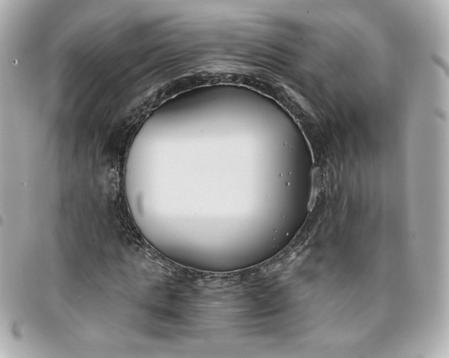 X0000096200821200802011257