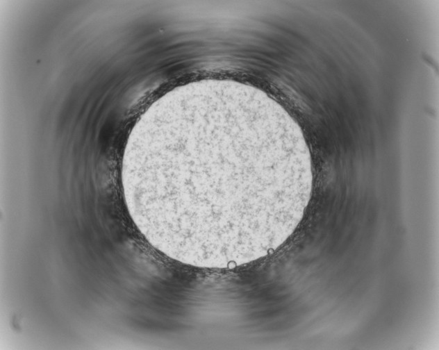 X0000096200824200802011257