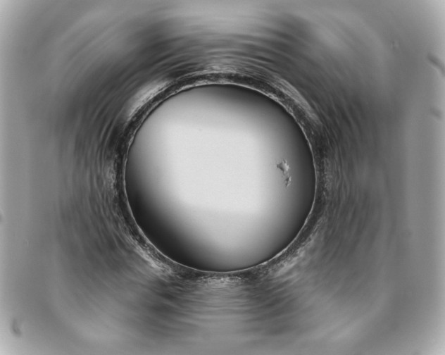 X0000096200826200802011258