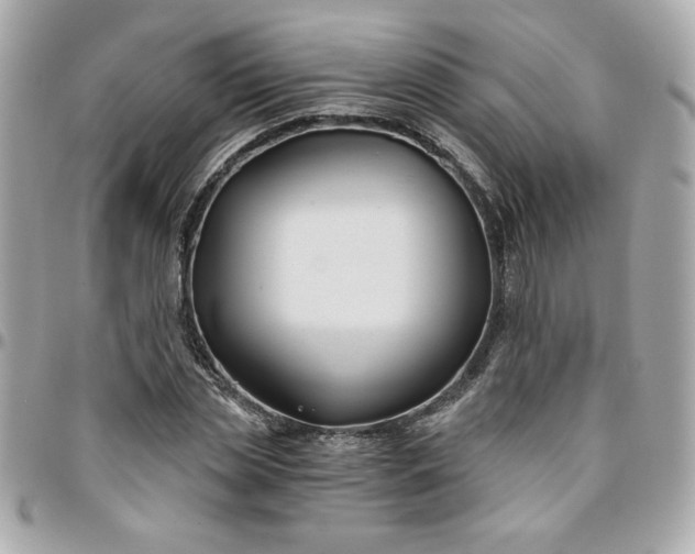 X0000096200829200802011258