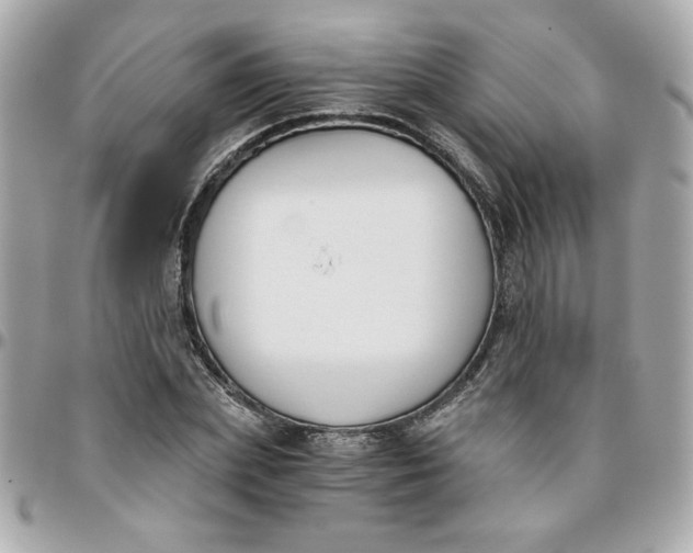 X0000096200831200802011258