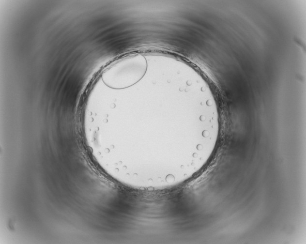 X0000096200832200802011258