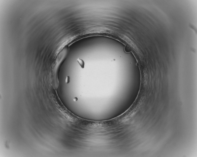 X0000096200834200802011258