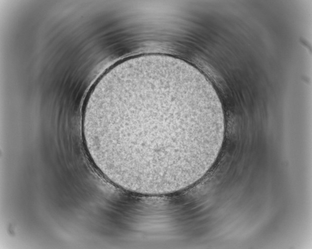 X0000096200836200802011258