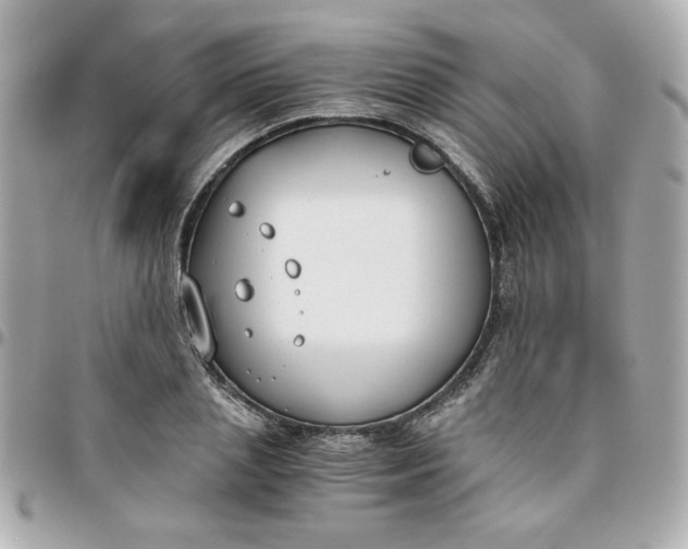 X0000096200837200802011258