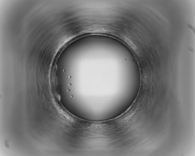 X0000096200840200802011258