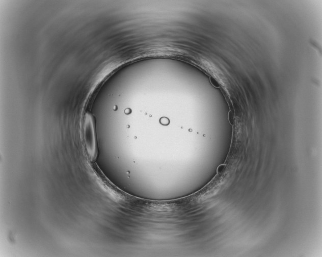 X0000096200843200802011258