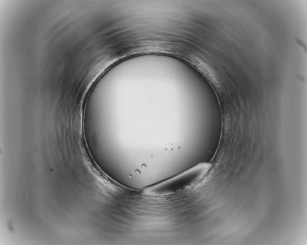 X0000096200844200802011258