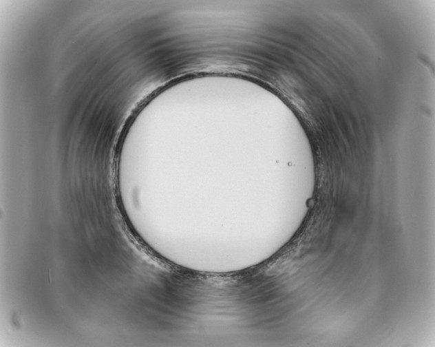 X0000096200848200802011258