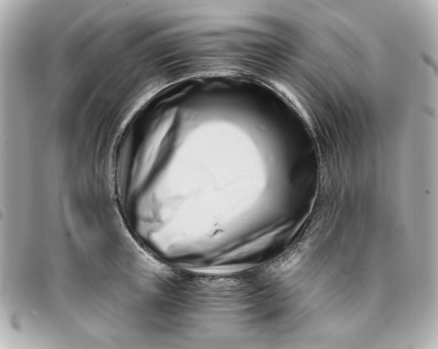 X0000096200851200802011258