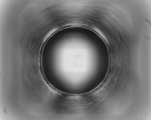 X0000096200853200802011258