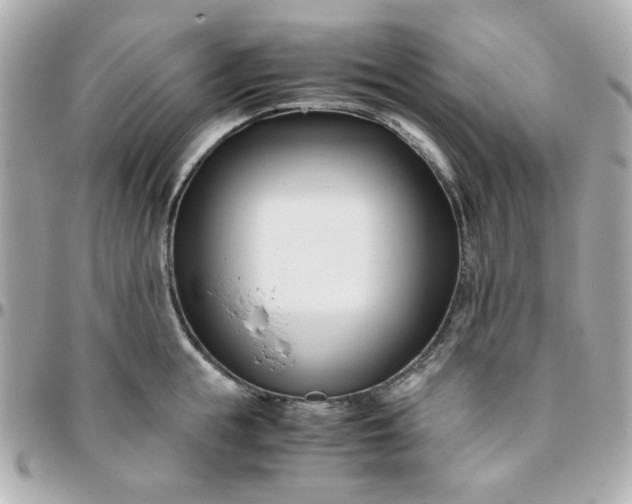 X0000096200855200802011258