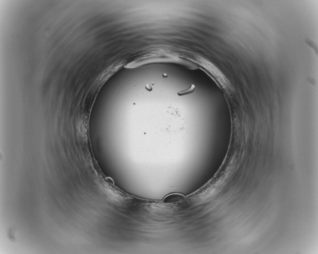 X0000096200857200802011258