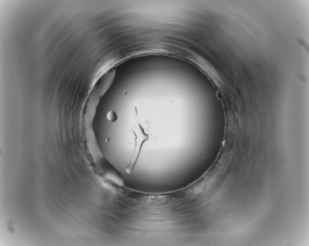 X0000096200858200802011258