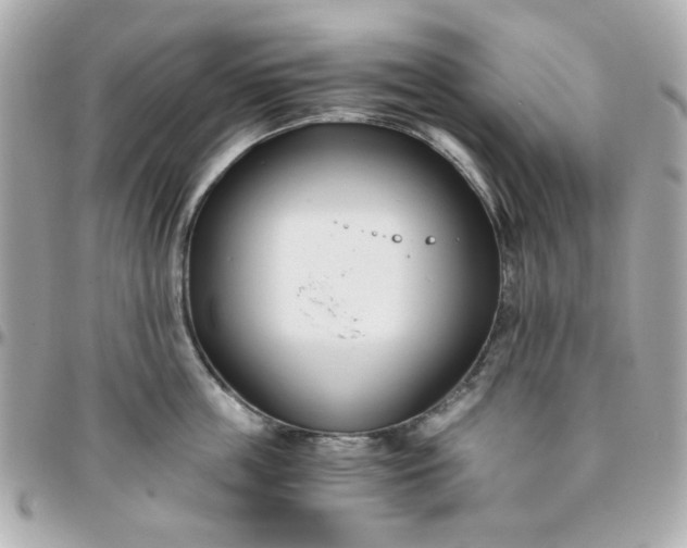 X0000096200859200802011258