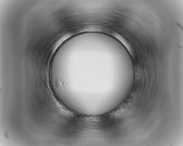 X0000096200861200802011258