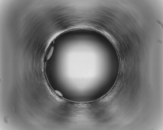 X0000096200862200802011258