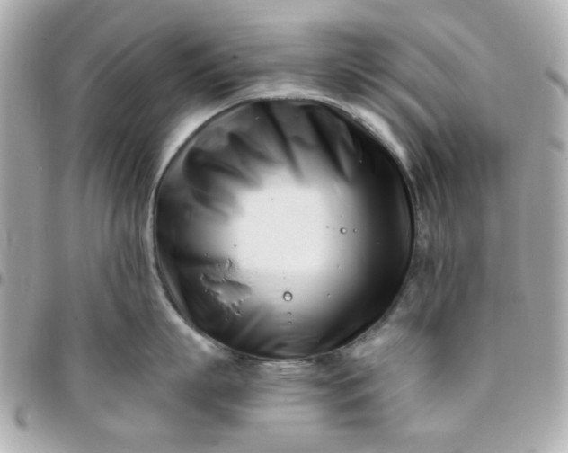 X0000096200863200802011258