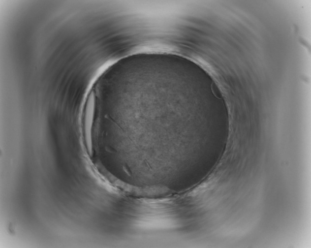 X0000096200864200802011258