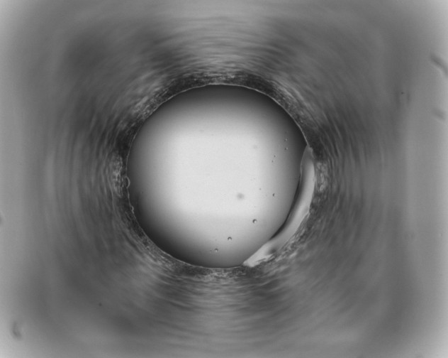 X0000096200867200802011257