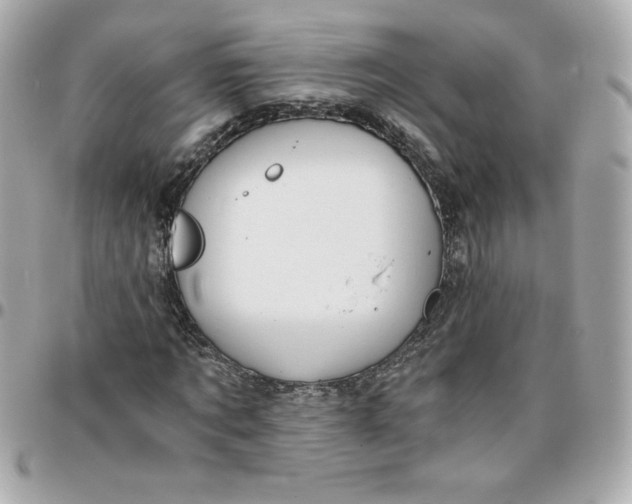 X0000096200869200802011257