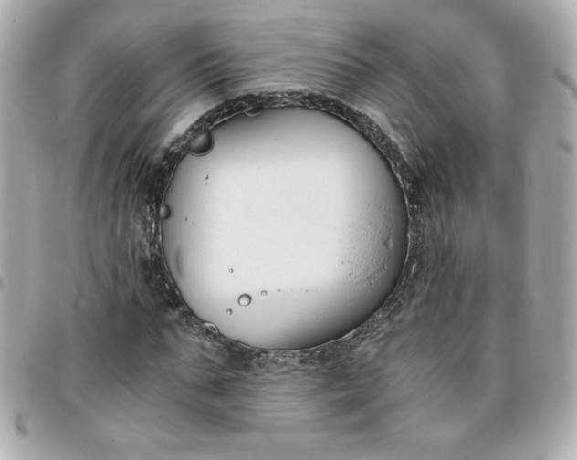 X0000096200871200802011257