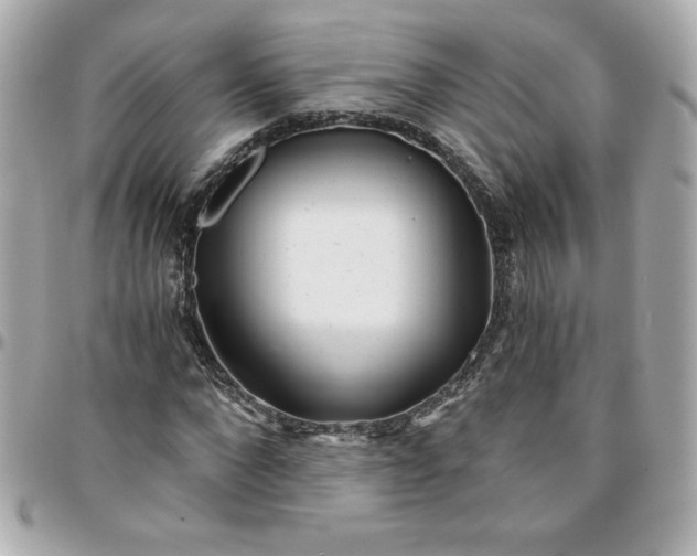 X0000096200872200802011257