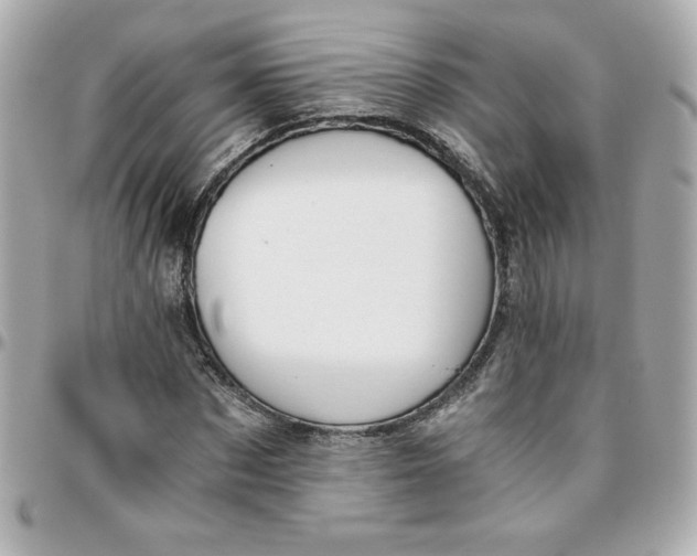 X0000096200873200802011257