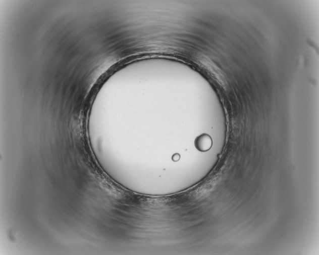 X0000096200875200802011257