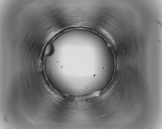 X0000096200876200802011257