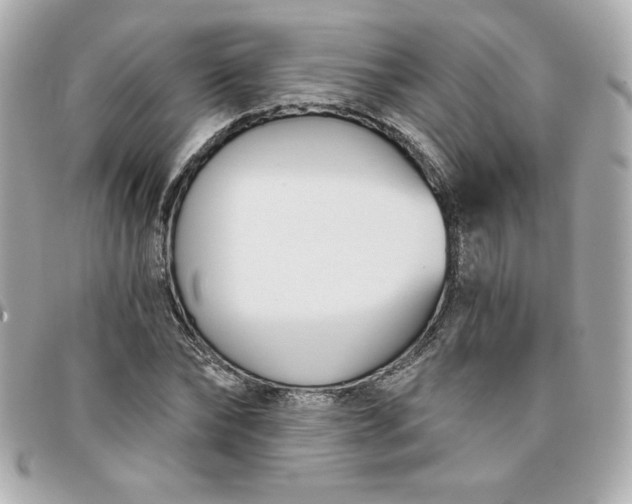 X0000096200878200802011257