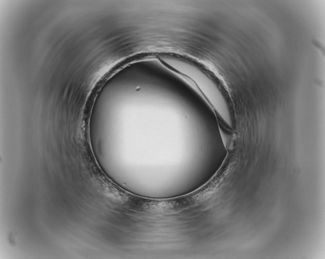 X0000096200879200802011257