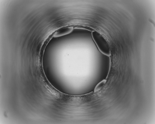 X0000096200880200802011257