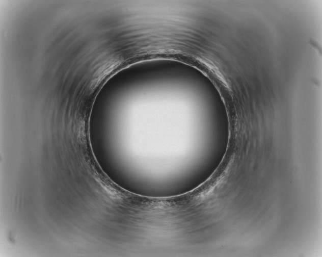 X0000096200881200802011257