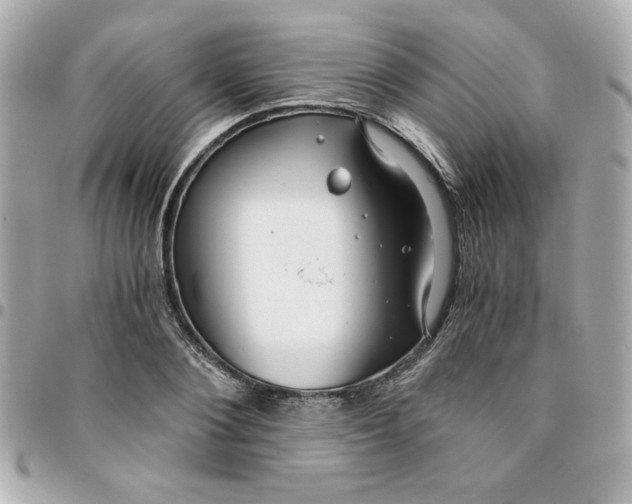 X0000096200884200802011257