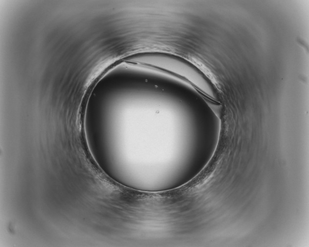 X0000096200885200802011257