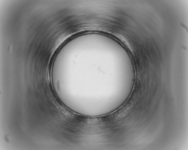 X0000096200887200802011257