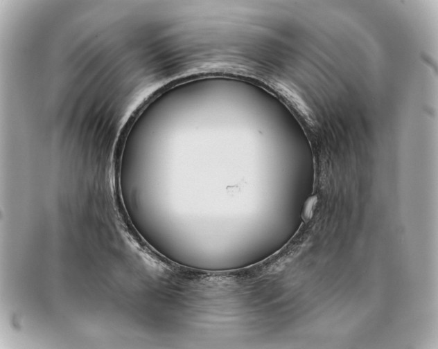 X0000096200888200802011257