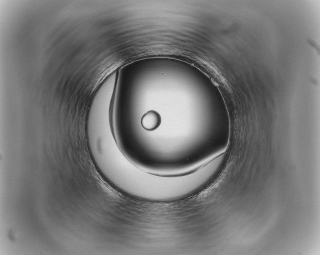 X0000096200889200802011257