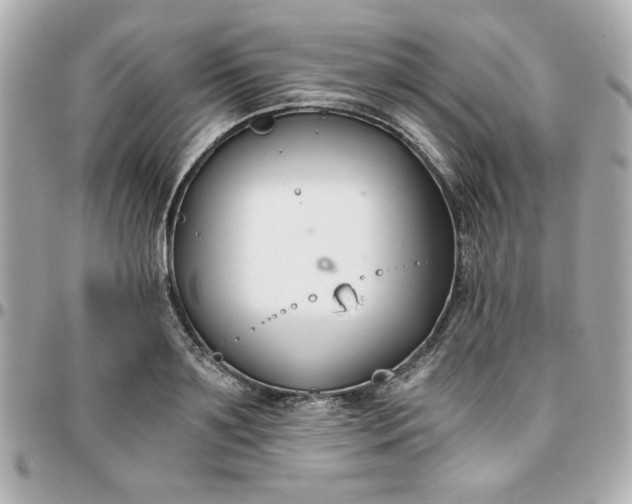 X0000096200891200802011257